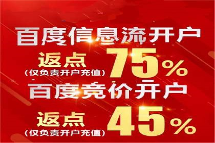 某电商平台信息流竞价策略及成效分析